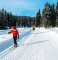 Musée du Ski et de la Tradition Rousselande