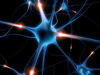 Neurofeedback Rochavi