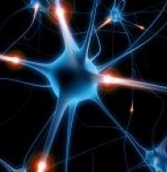 Neurofeedback Rochavi