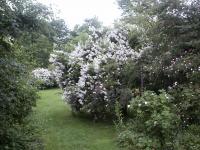 Le Jardin des Rouges Vis