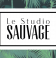 Le Studio Sauvage