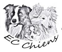 EC Chiens