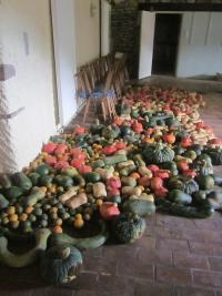 Le Jardin de la Baume