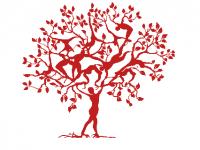 Nature Divine