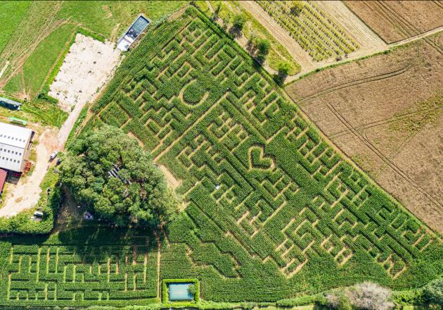 Labyrinthe Maïs, Terre d'aventures