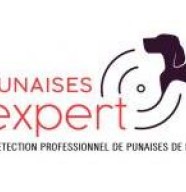 Punaises-Expert