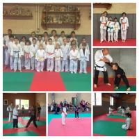 Judo Club
