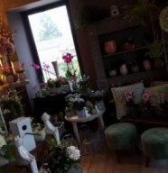 Fleurs Passion