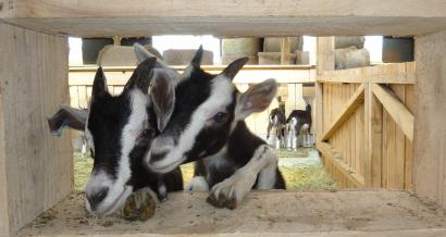 Ferme d'Uzelle
