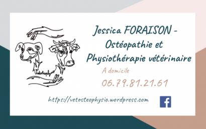 Vetosteophysio