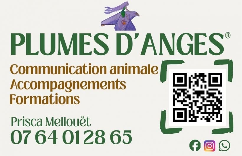 Plumes d'Anges