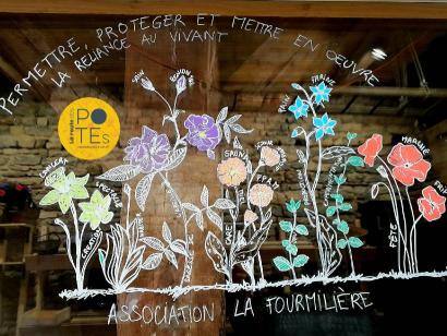 La Fourmilière