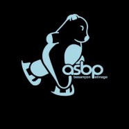 Association Sportive Besançon Patinage