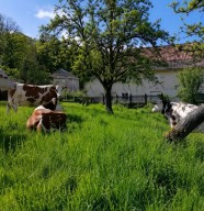 La Louve Chez Valérie