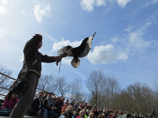 JURAFAUNE - Parc animalier et botanique JURAFAUNE - Parc animalier et botanique